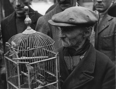 Sanford H. ROTH (1906-1962) - Marché aux oiseaux